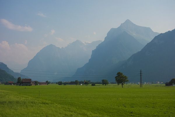 _DSC8439-2