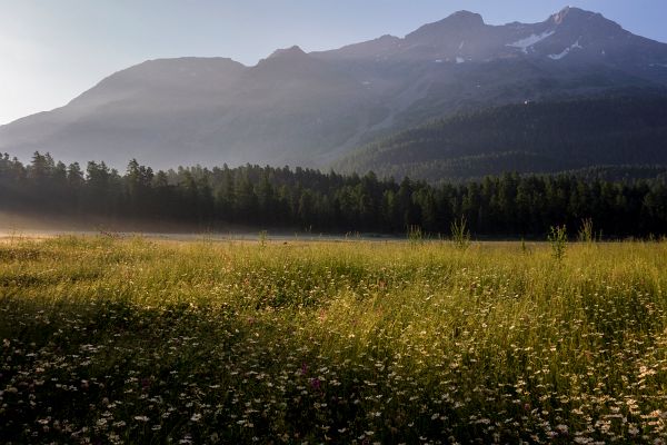 _DSC8493
