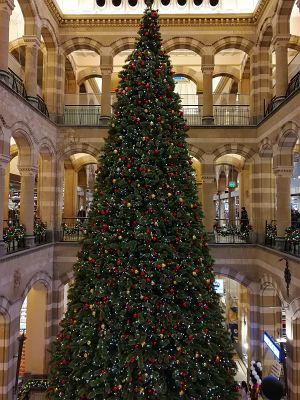 20181029-IMG_20181029_164515