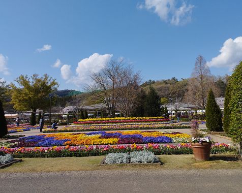 Ashikaga_flower_park_202303