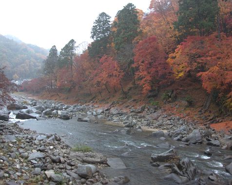 Autumn_leaves_at_Korankei