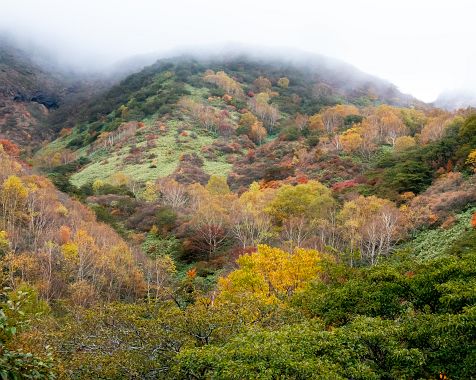 Chausudake