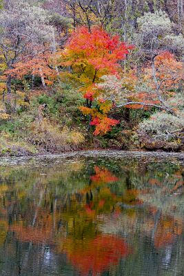 _MG_4019-2-3