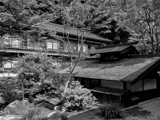 IMG_20170706_085604-2