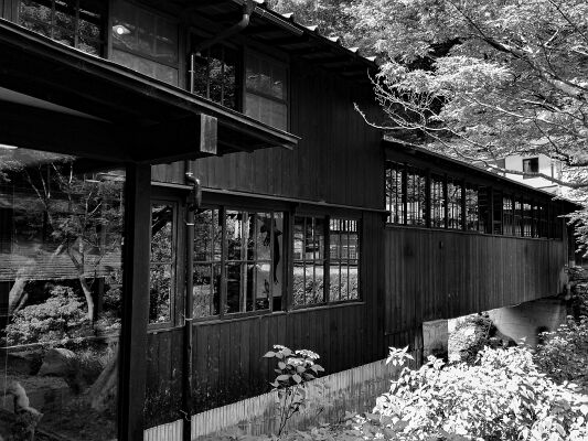 IMG_20170706_085614-2