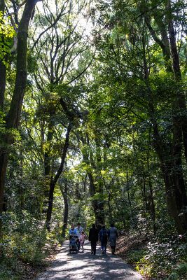 20241103-IMG_4998-強化-NR-4