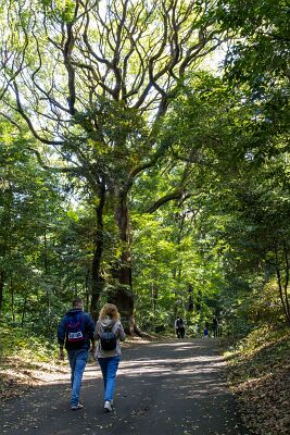 20241103-IMG_5011-強化-NR