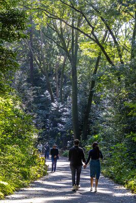 20241103-IMG_5023-強化-NR