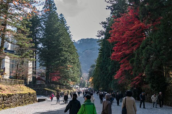 20171113-DSC06306