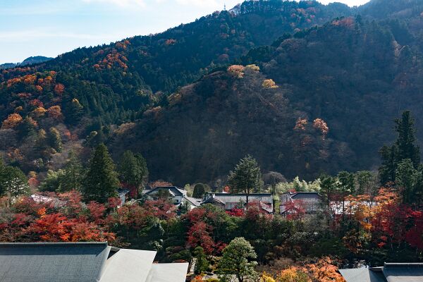 20171113-DSC06323