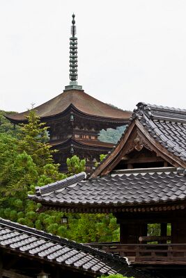 _MG_6429