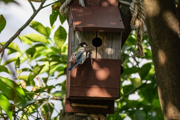 20220511-606A2039-2 - copy