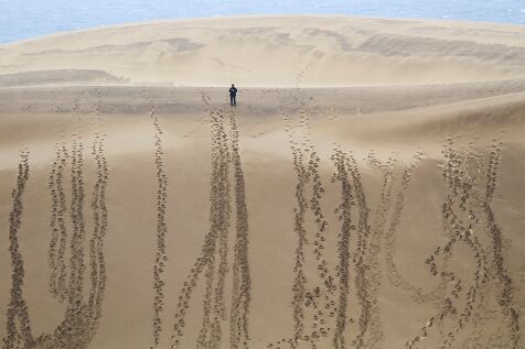Tottori_sand_dunes